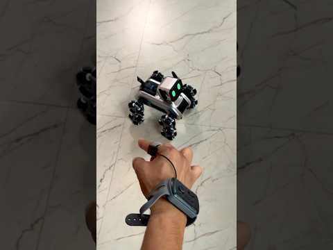 Satyam Found A Ai Robot