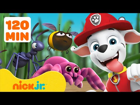 Patrulha Canina | Resgates e Aventuras com Insetos! 🐝 2 Horas | Nick Jr. em Português