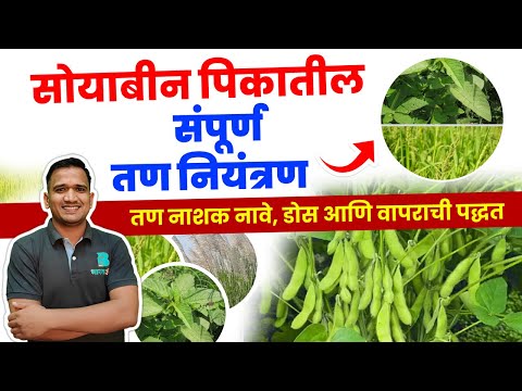 सोयाबीन तन नाशक कोणते वापरावे? soybean tan nashak | soybean herbicide #bharatagri #herbicides 🤔