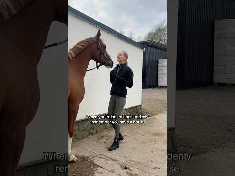 Ohh I have a horse 🤣 #horse #horses #equestrian #horseriding #riding #funny #shorts #trend #fun
