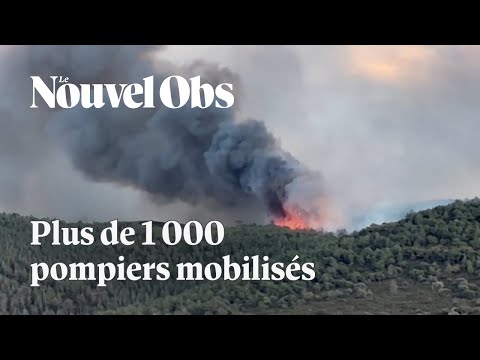 Incendie dans l'Aude : le feu a brûlé plus de 2 000 hectares de végétation
