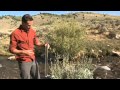 Turbidity Measurement and Water Quality