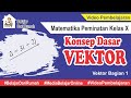 Vector and Scalar Quantities
