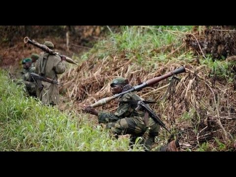 ITURI SOUS TENSION : AU MOINS 10 MORTS DANS DES COMBATS ENTRE FARDC ET MILICIENS  À KPADOLE