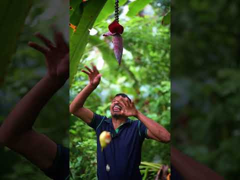 From Flower to Feast – Banana Blossom Magic! 😱
