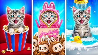 Red deze Kleine Kat! Geheime Hacks voor Eigenaren van Huisdieren!