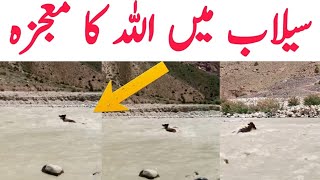 Babusartop flood viral video | Allah Ki Qudrat Dakh Lain | Trending Nasim