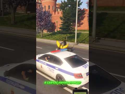 ПОГОНЯ ДПС ЗА ОБЕЗЬЯНОЙ в ГТА 5 РП (GTA 5 RMRP / Криминальная Москва)