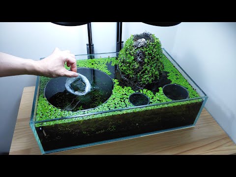 #5 Volcano Filter Betta Tank (Population Explosion & New Candy Betta) YES filter, NO CO2, NO Ferts