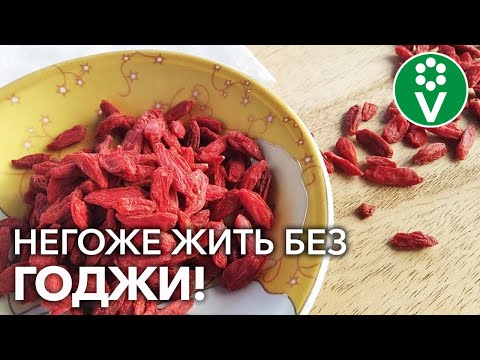С этой целебной ягодой иммунитет крепче в разы! Секретное средство тибетских монахов в вашем саду