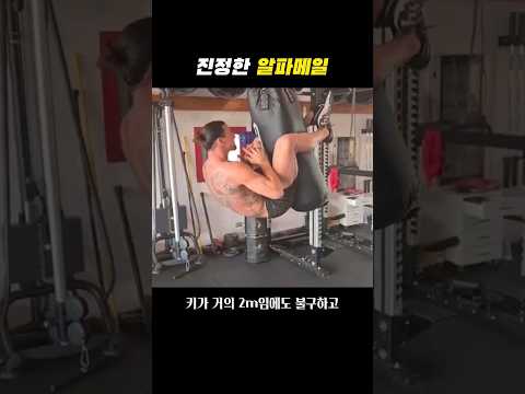 즐라탄을 건드리면 안되는 이유