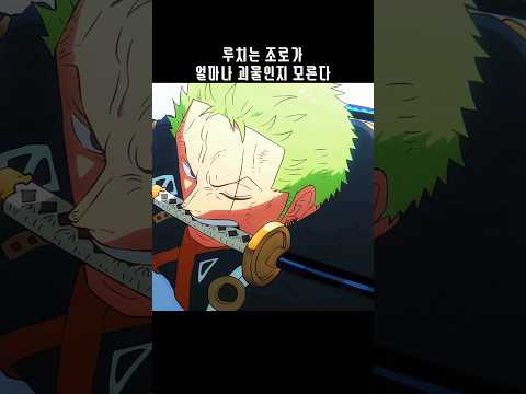 루치는 조로를 이길 수 있을까 #shorts
