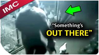 The Most Mind Blowing Bigfoot Videos The Internet Can't Explain