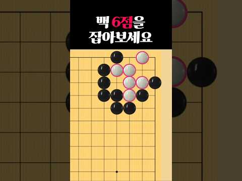 쉬운 바둑 사활 - 백을 잡는 묘수는 어딜까요?
