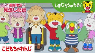 【見逃し配信】テレビ番組「しまじろうのわお！」 7月26日放送 ｜きょうりゅう みつけた｜#683 【しまじろうチャンネル公式】
