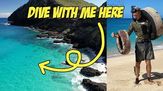 I want you to come dive with me... Here's how!