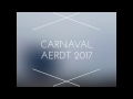 Carnavalsoptocht Aerdt 2017