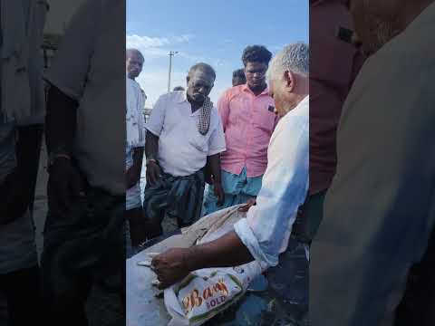Untitled video