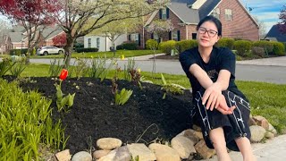 Trang Khàn chiên cá sặc bướm ăn cơm tối ngon nhức nách 