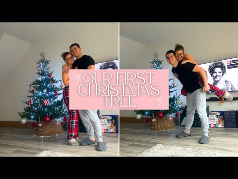 Let's put up the Christmas Tree in our first home! 🌲