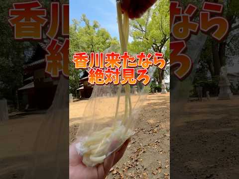 橋本製麺所最新攻略&裏技 #グルメ #食べ歩き #讃岐うどん #shorts #香川