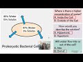 Mastering Osmosis Practice Techniques