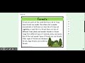 Understanding Forests