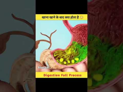 खाना खाने के बाद पेट में क्या होता है 😳। Digestion Full Process #Mjfactz #shorts।