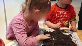Unser Herbstprojekt - Regenwürmer & Gänseblümchen