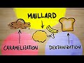 Understanding the Maillard Reaction