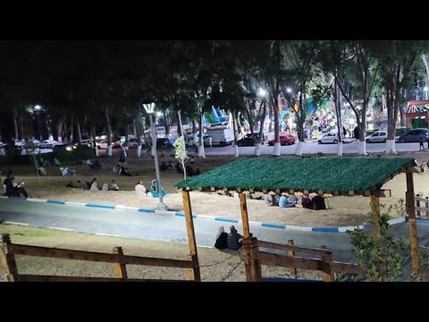 عالم أم إياد الڨالمية⁦🇩🇿⁩ est en direct !