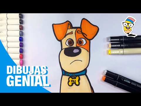 Dibuja y Colorea al MAX ✍️🐶⚪️THE SECRET LIFE OF PETS 2