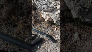 Kayanın İçinden Gelen Gizemli Sinyaller !!