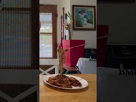 A reação do pai foi a melhor