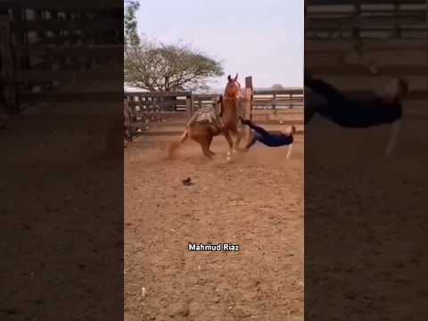 #horselov #cheval #شباب_البومب13 #kuda #caballos #घोड़ों #лошади #يوميات_ترند #حصان #馬