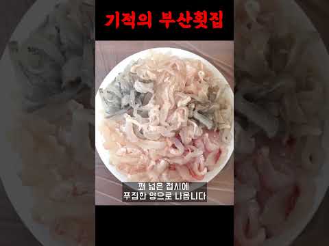 부산사람들은 이런 횟집 갑니다. #Shorts
