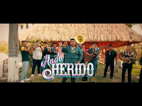 Los Pajaritos de Tacupa - Ando Herido