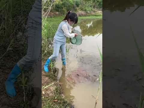 Tinh mùi #cauca #fishing #quang