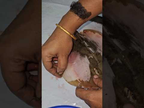 തിരണ്ടി വൃത്തിയാക്കിയാൽ ലോ/Stingray fish cleaning/തിരച്ചി #fishcutting #shorts #trending #shortsfeed