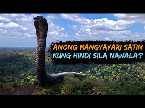 Paano kung Hindi nag Extinct ang Titanoboa? | Anong Mangyayari satin?