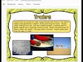 Ancient Mali's Resources and Trade