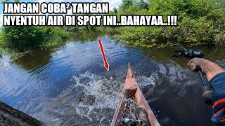 NGERI !!! MANCING SAAT RAWA BANJIR DISERANG RIBUAN IKAN TOMAN😱😱