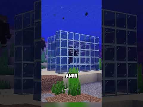 Wither Nggak Bisa Berenang