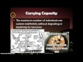 Environmental Sustainability Concepts