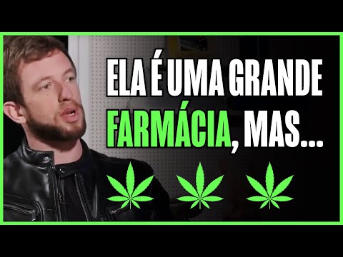 O QUE A MACONHA FAZ NO CÉREBRO