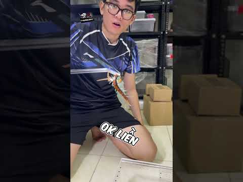 Cách bắt Rết #shorts  #thèmbòsát #rết