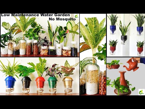 The Ultimate Guide To Watering Your Garden/Best Way To Water Your Garden/Water Plants/ORGANIC GARDEN