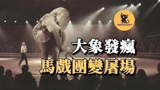 大象反復碾壓馴獸師，大鬧夏威夷市中心，囚禁20年後她終於爆發