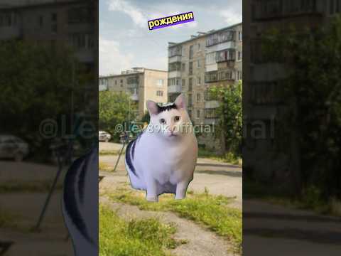 Не показывай это видео своему учителю!#хочуврек#котики#футажи#shorts Автор звука:@kikkadim
