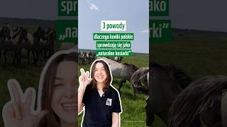 Dlaczego koniki polskie to świetne „naturalne kosiarki”? 🐴🌿 #wwf
